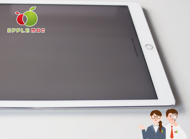 12.9インチ iPad Pro アクティベーションロック ジャンク買取4