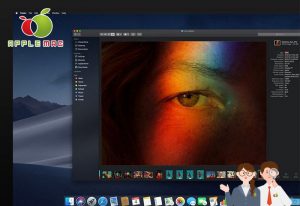 【初期化復元】macOS Mojave 10.14.b1ダウンロード