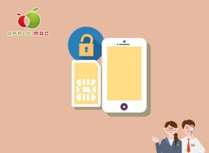 純正公式 iPhone SIMロック解除アダプター販売取扱方法