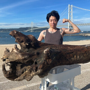 大型流木の通販販売】垂水アジュール舞子海岸ゴミ拾い環境整備